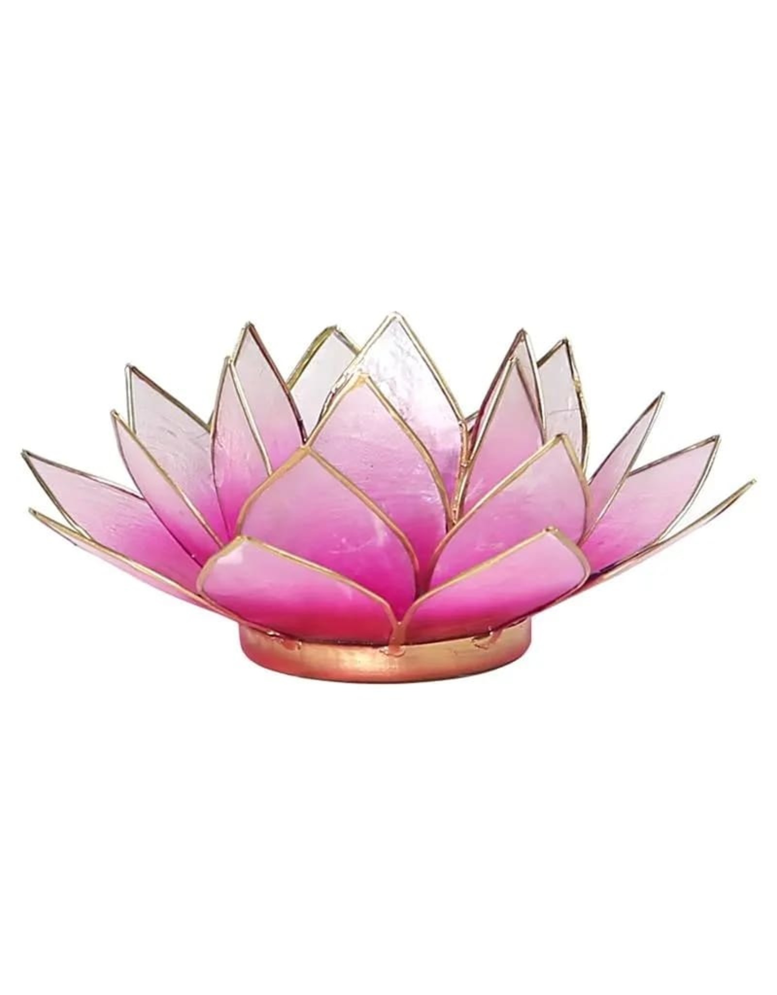 Lotus Roze-Lichtroze met Goudrand