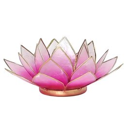 Lotus | Roze-Lichtroze | Goudrand