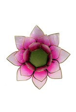 Lotus Roze-Lichtroze met Goudrand