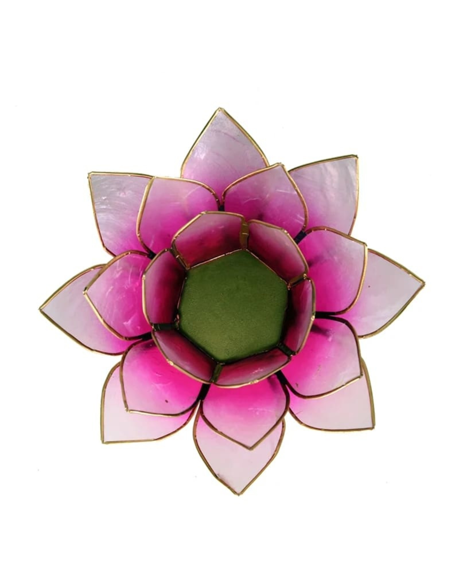 Lotus Roze-Lichtroze met Goudrand