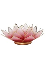 Lotus | Rood Roze | Goudrand