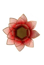 Lotus | Rood Roze | Goudrand
