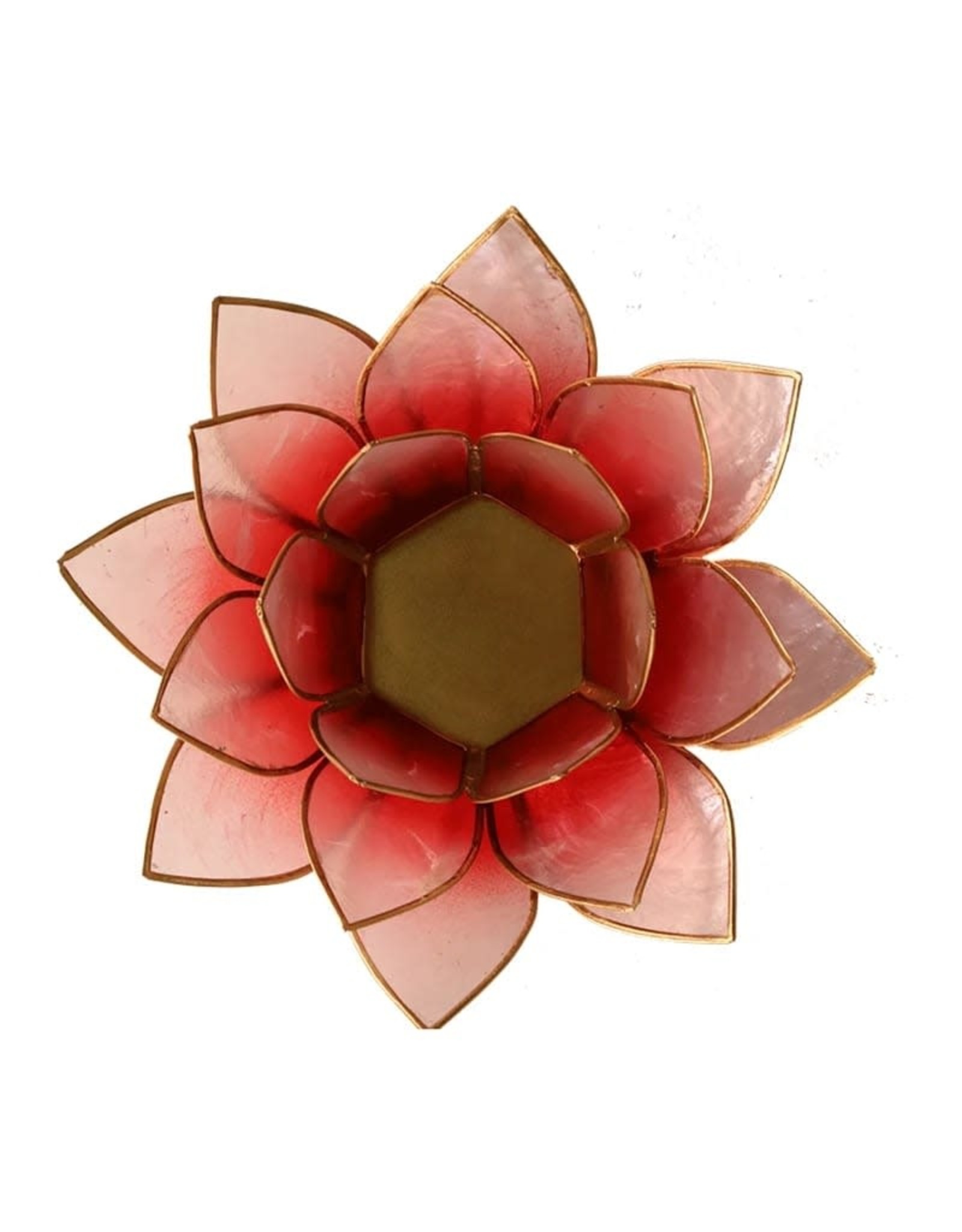 Lotus | Rood Roze | Goudrand