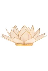 Lotus | Naturel | Goudrand