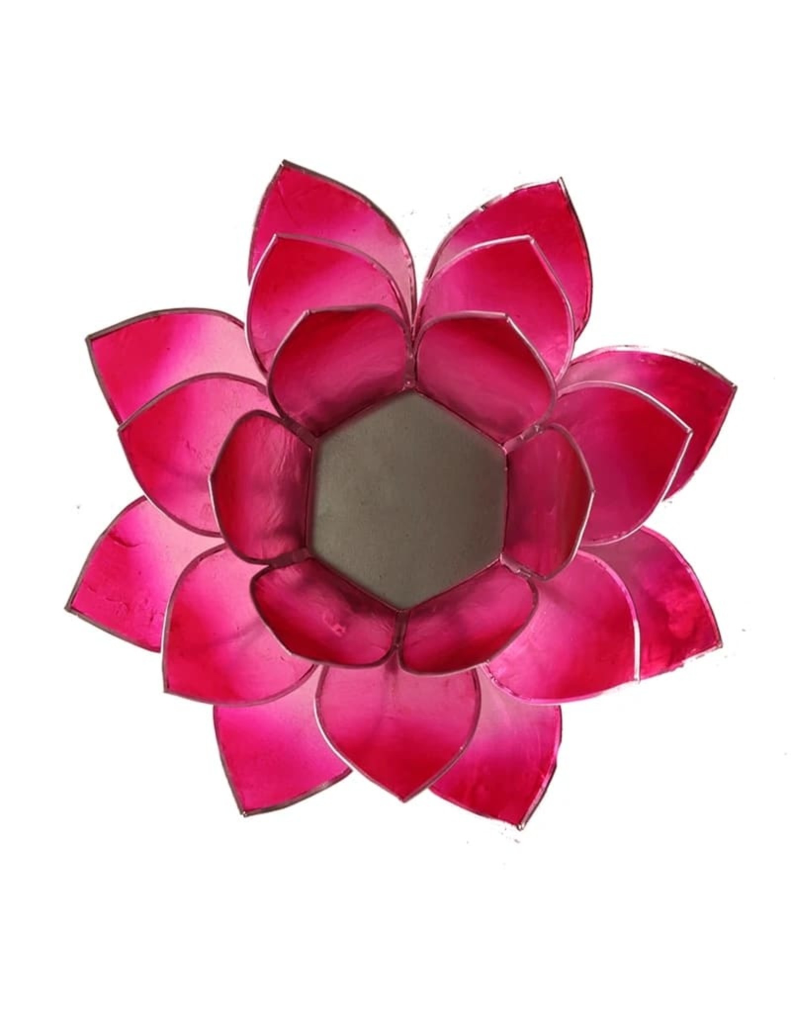 Lotus | Roze | Zilverrand