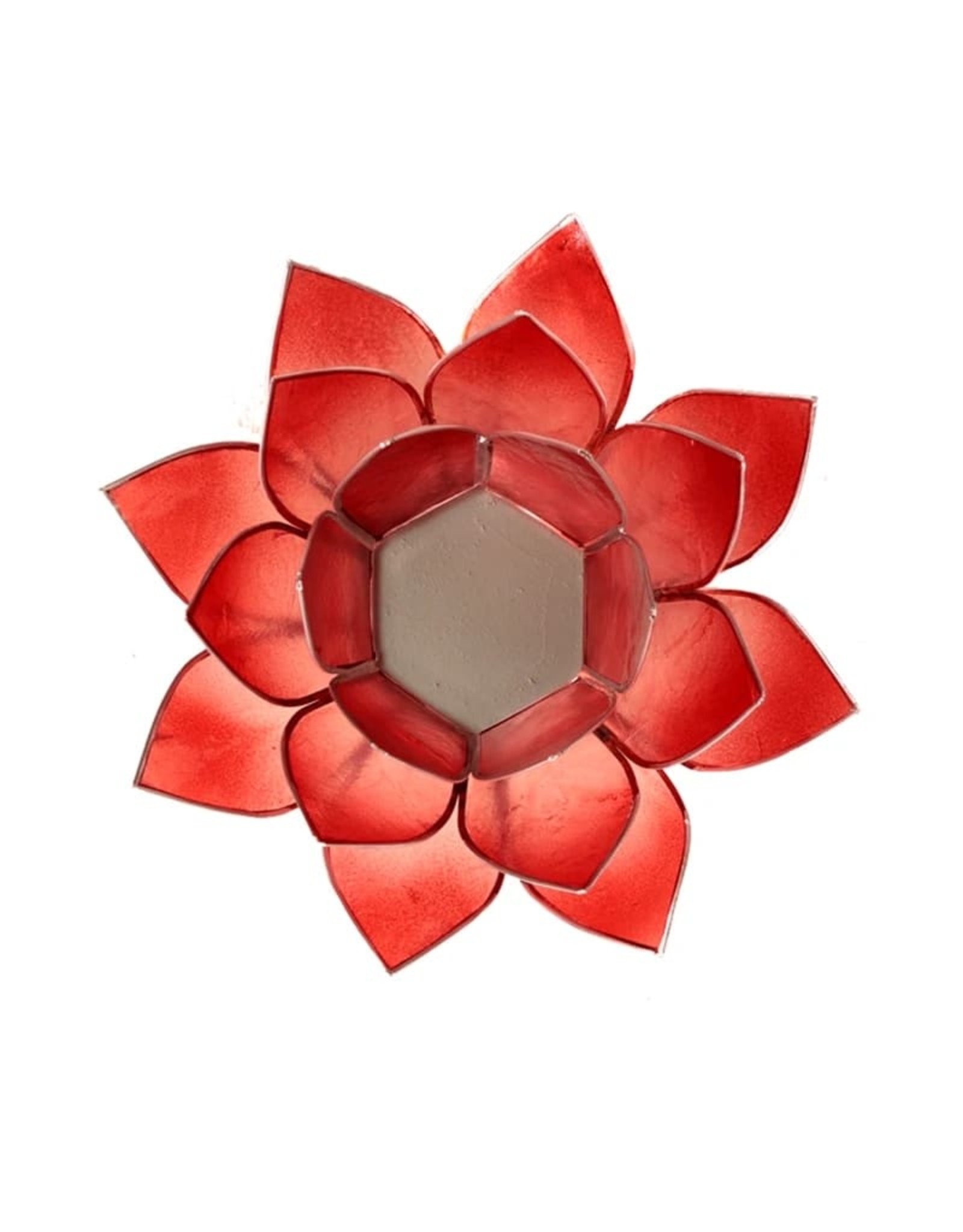 Lotus | Roze-Rood | Zilverrand