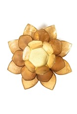 Lotus | Smoked | Goudrand