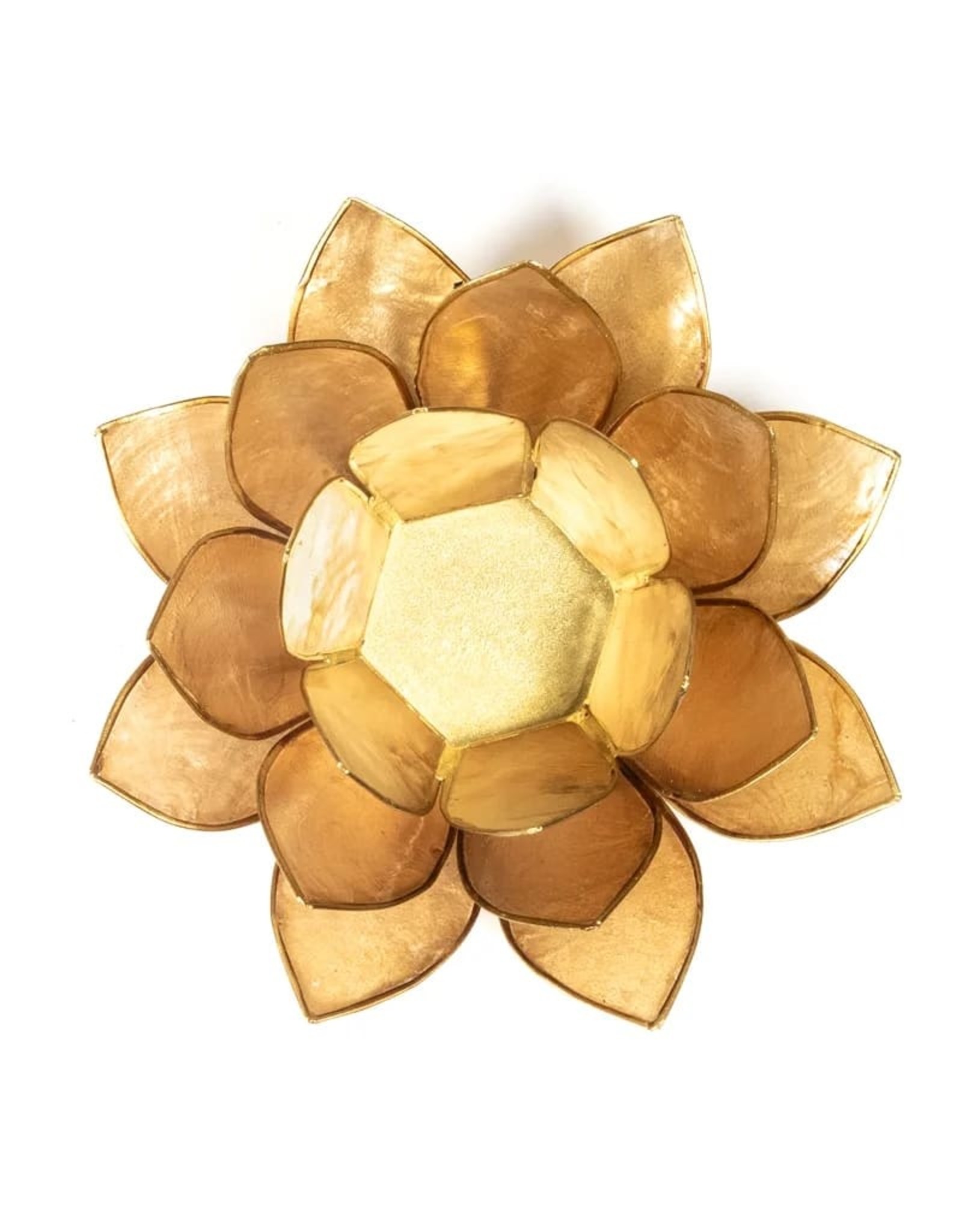 Lotus | Smoked | Goudrand