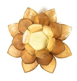 Lotus | Smoked | Goudrand