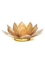 Lotus | Smoked | Goudrand