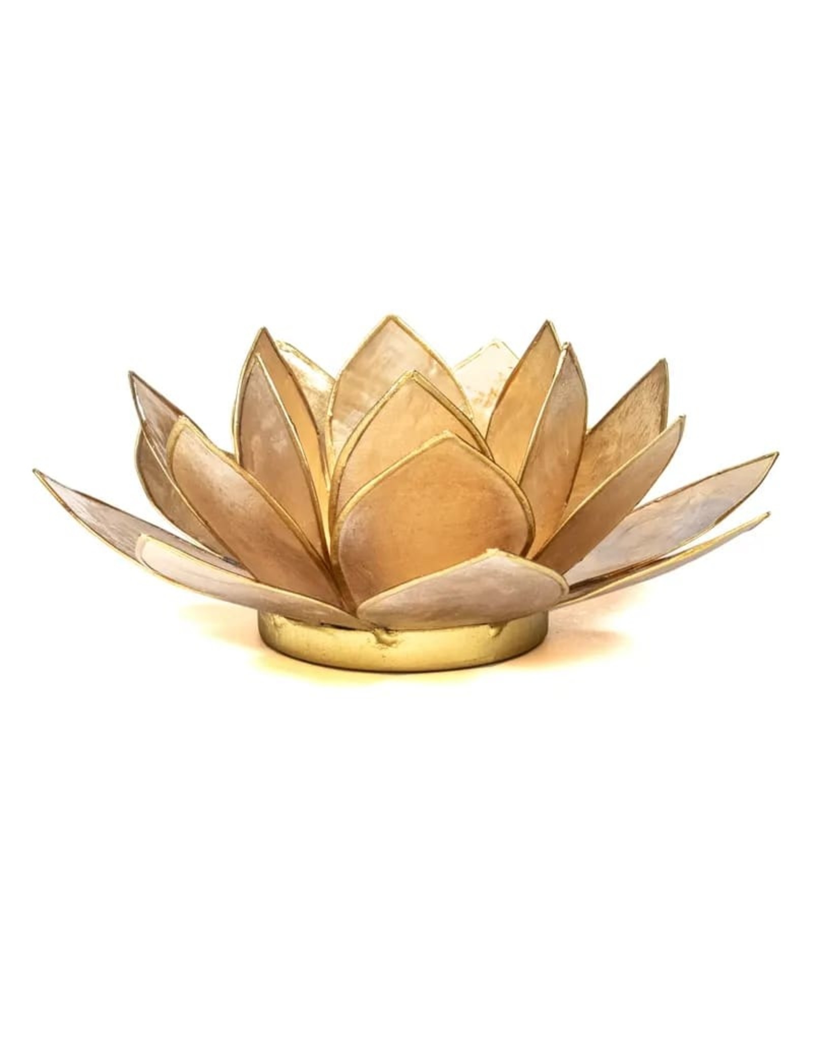 Lotus | Smoked | Goudrand