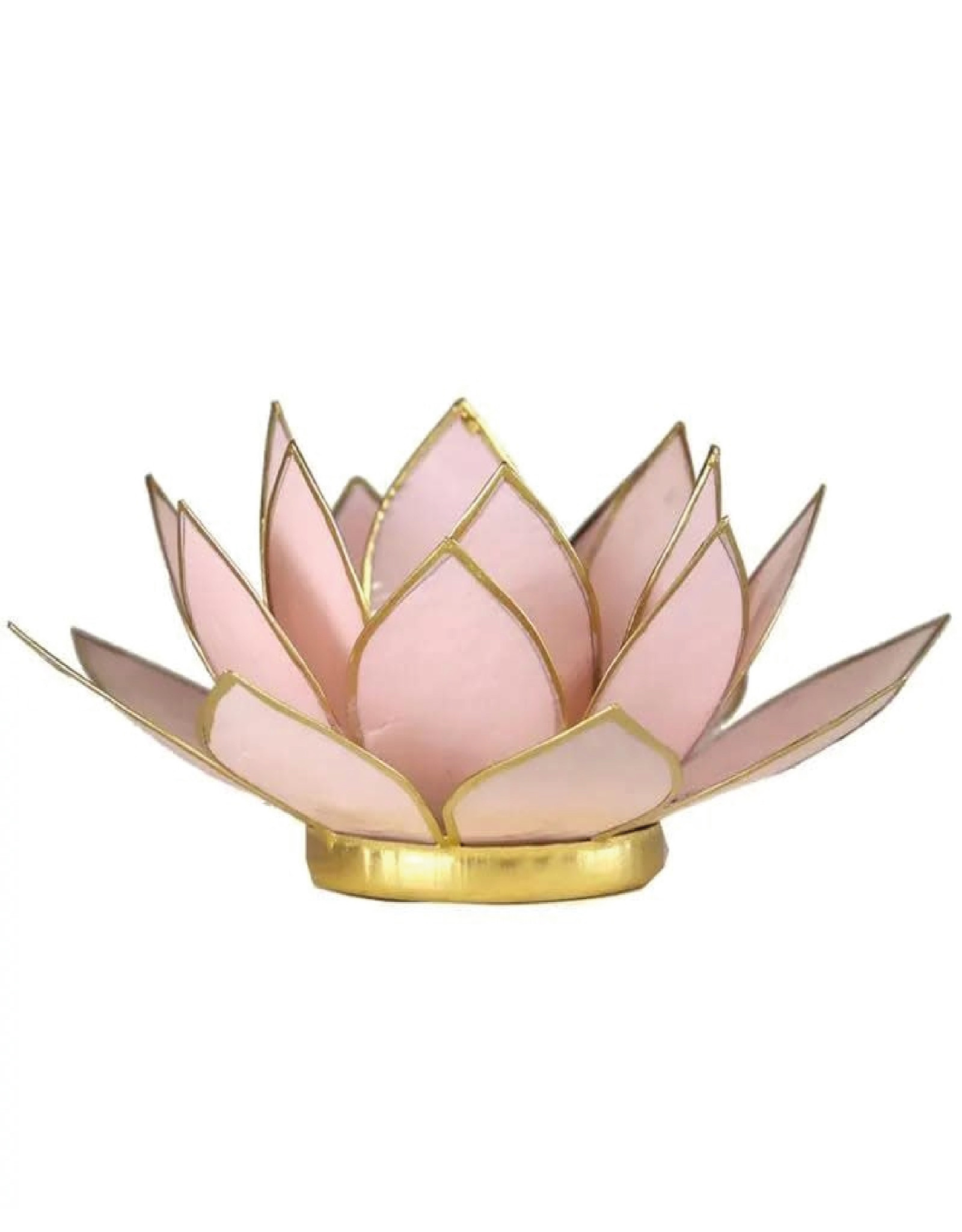 Lotus | Pastel Roze | Goudrand