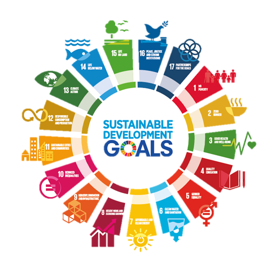 17 Global Goals