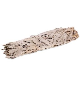 Witte Salie Smudge à 23 cm