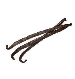 Van Broek Trading Bourbon Vanillestokje | Biologisch