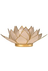 Lotus | Parelmoer | Goudrand