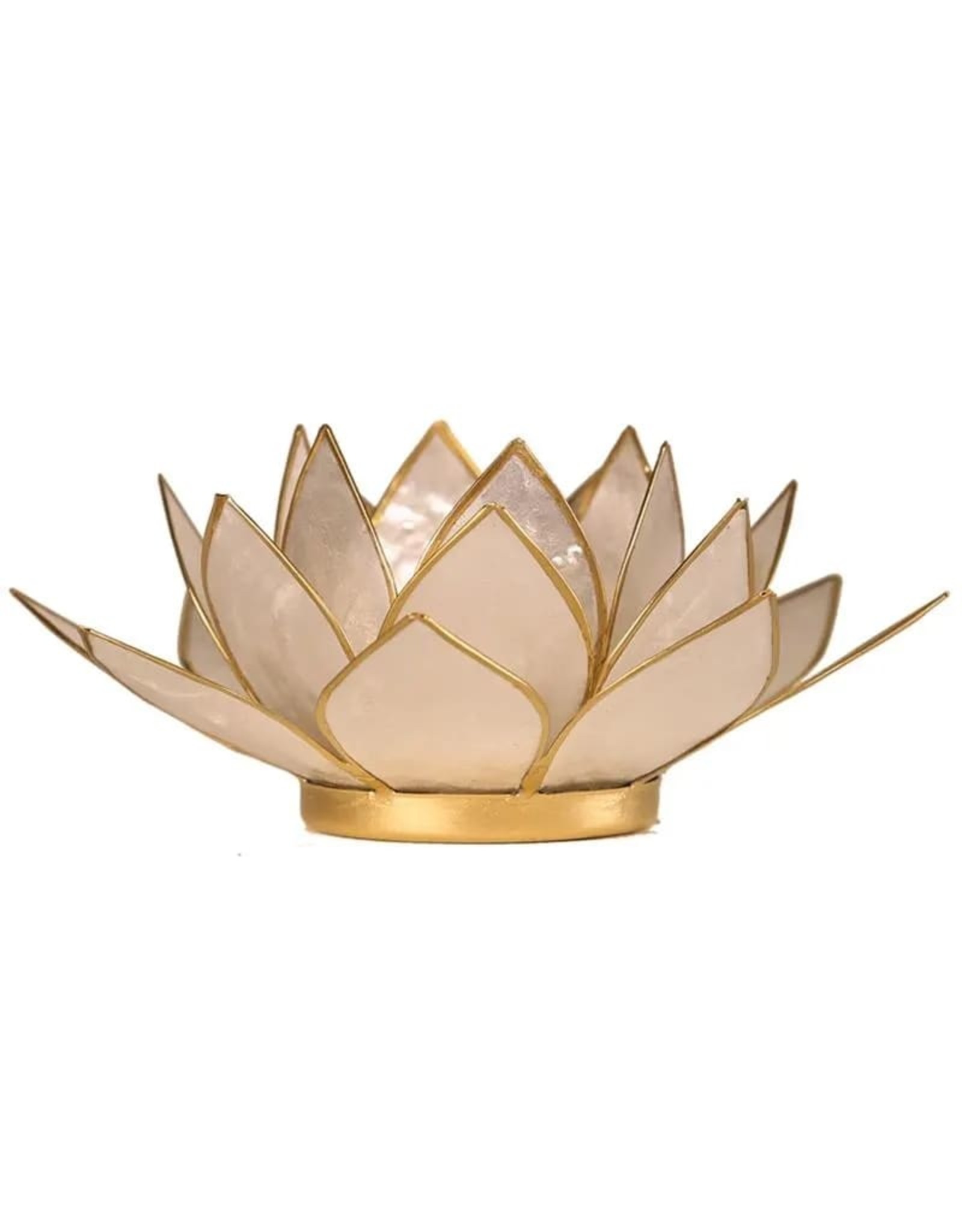 Lotus | Parelmoer | Goudrand