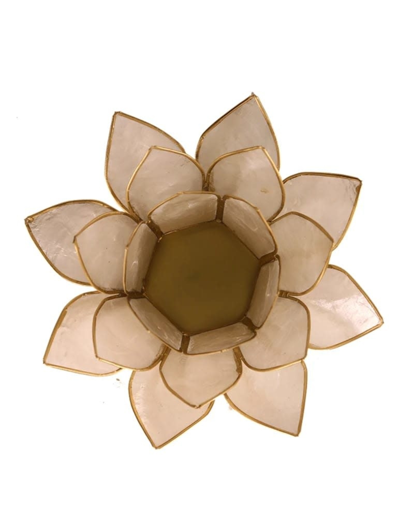 Lotus | Parelmoer | Goudrand