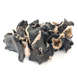 Kuping Tikus | Muizenoortjes | Black Fungus