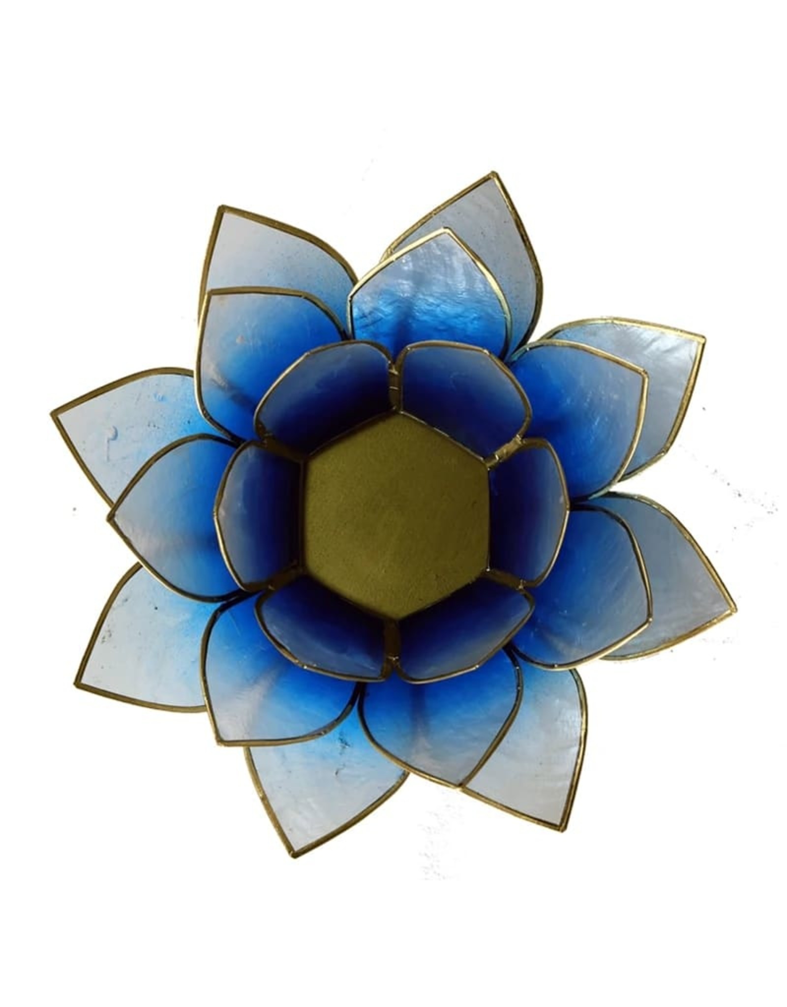 Lotus | Blauw-Wit | Goudrand