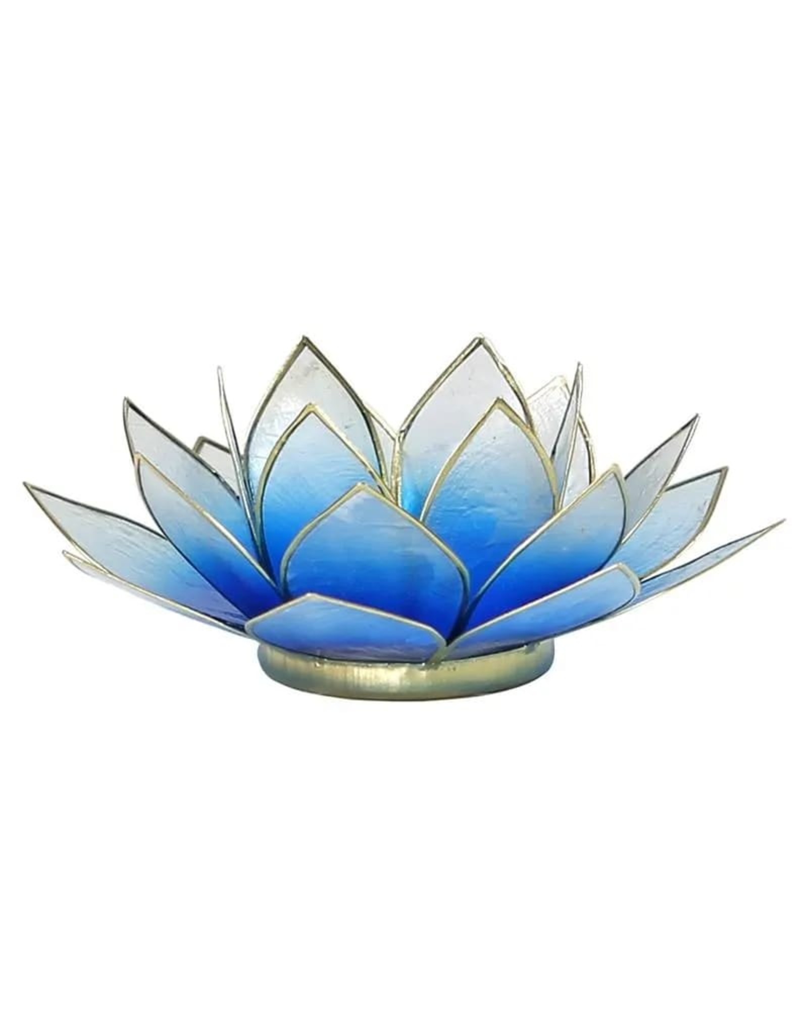 Lotus | Blauw-Wit | Goudrand