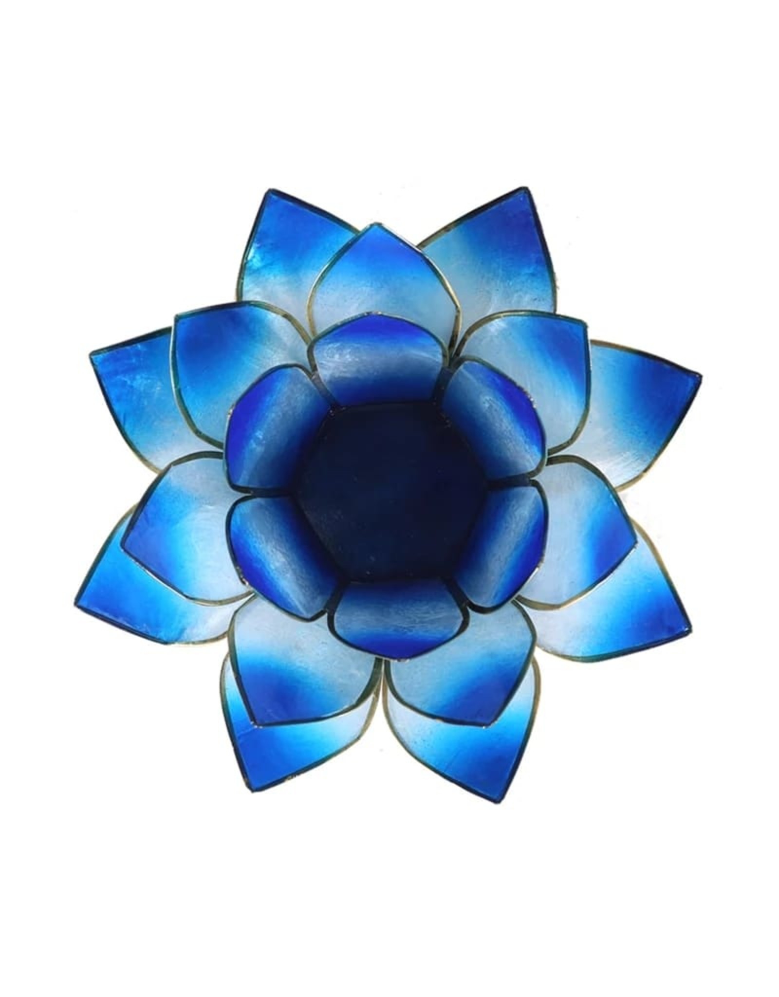 Lotus Blauw 2-kleurig