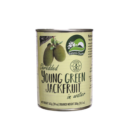 Nature's Charm Young Green Jackfruit in Water | 565g