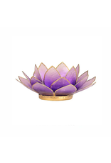 Lotus | Violet | Goudrand