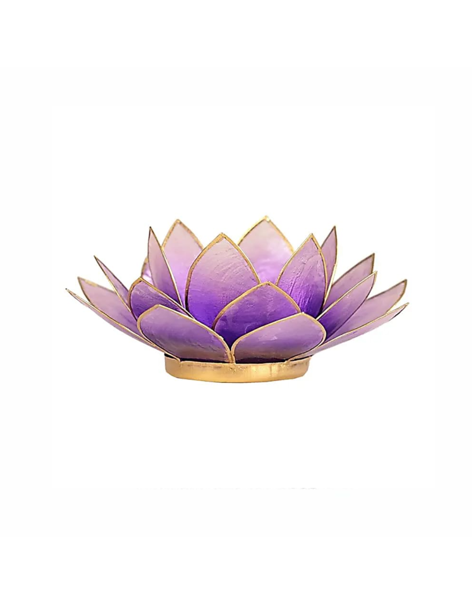 Lotus | Violet | Goudrand