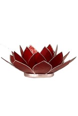 Lotus 1e Chakra | Rood | Zilverrand