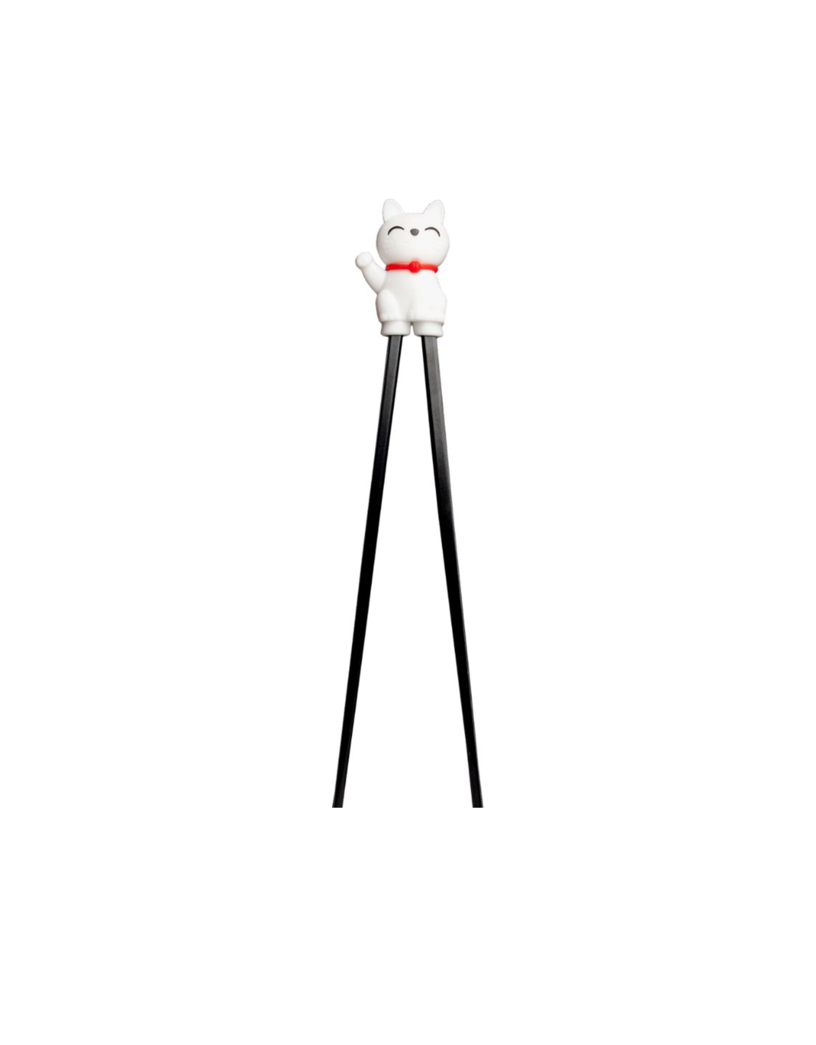 Chopsticks met Trainer | Fortune Cat