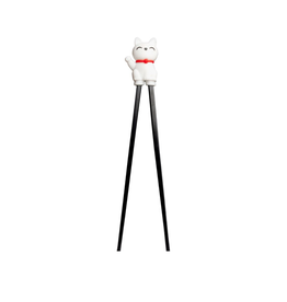 Chopsticks met Trainer | Fortune Cat