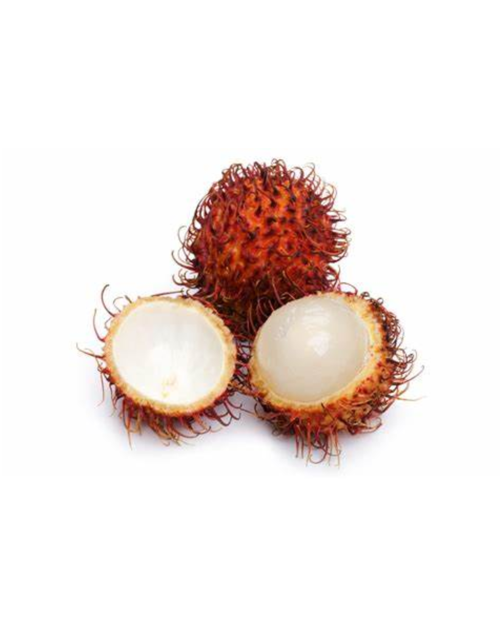 Rambutan