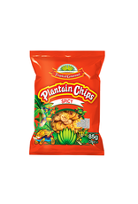 Tropical gourmet Plantain Chips | Spicy