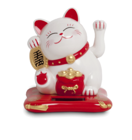 Gelukskat Solar | Wit