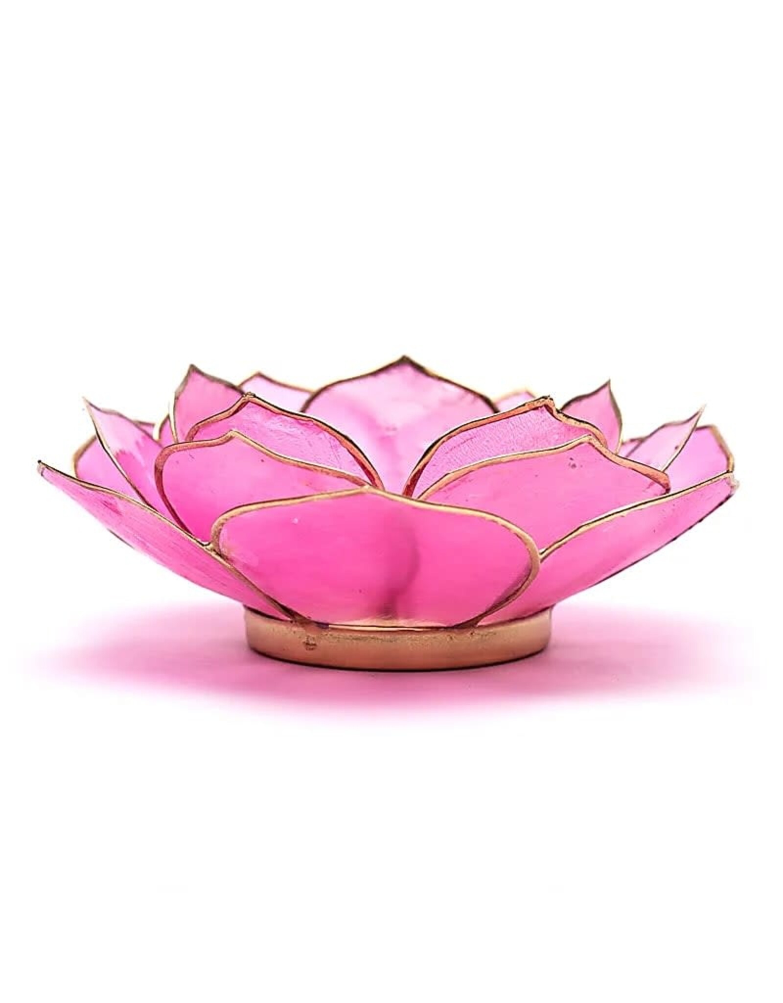 Lotus Bladvorm | Roze | Goudrand