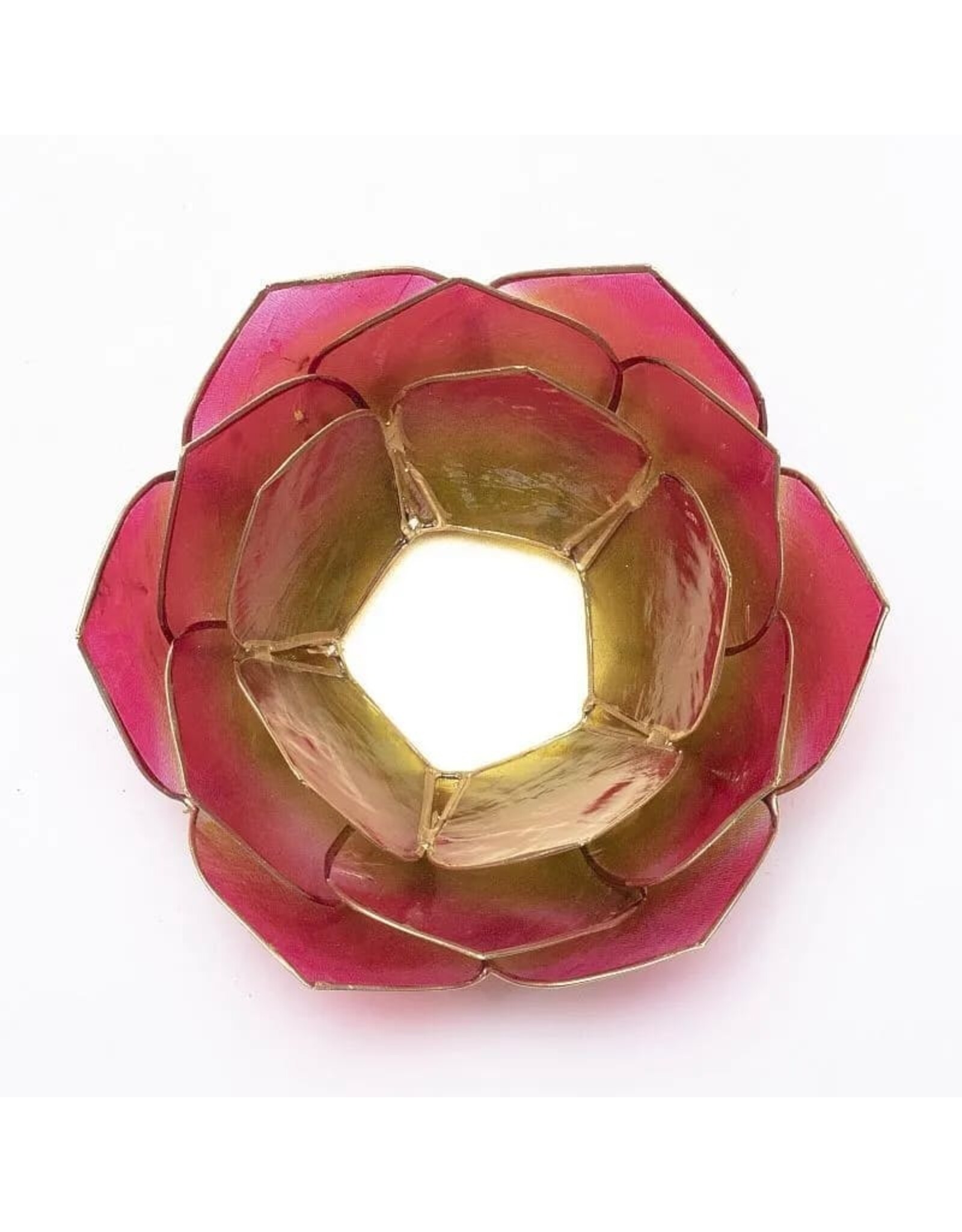 Lotus Bladvorm | Roze-Groen | Goudrand