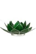 Lotus 4e Chakra | Groen | Zilverrand