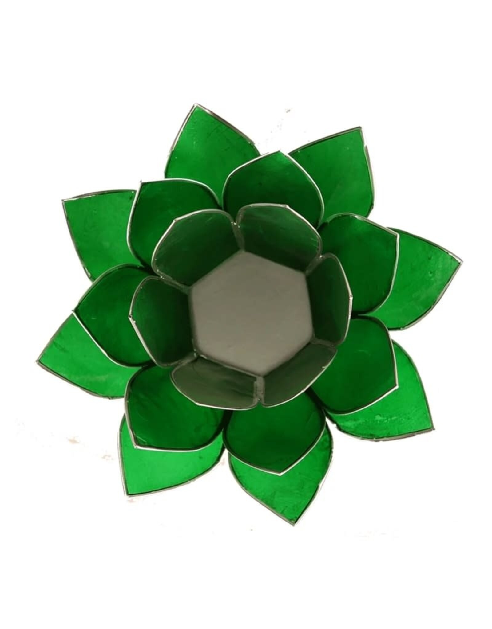 Lotus 4e Chakra | Groen | Zilverrand