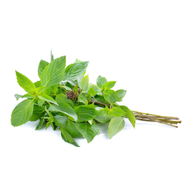 Sweet Basil | Horapa
