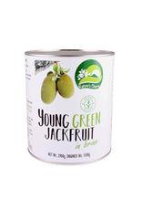 Nature's Charm Young Green Jackfruit | Brine | 2,9kg