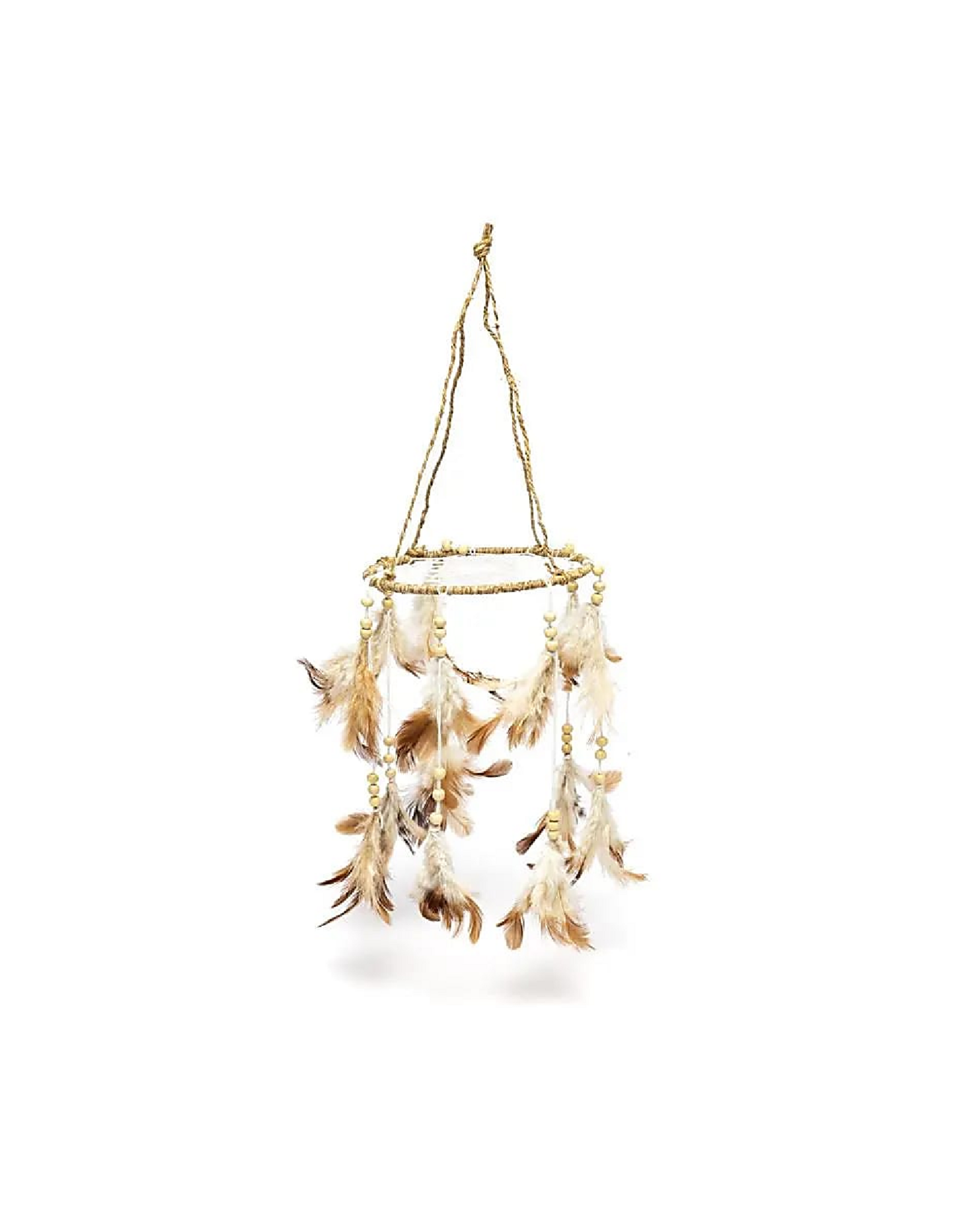 Dromenvanger | Hennep