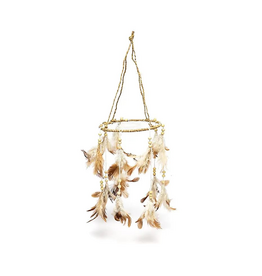 Dromenvanger | Hennep