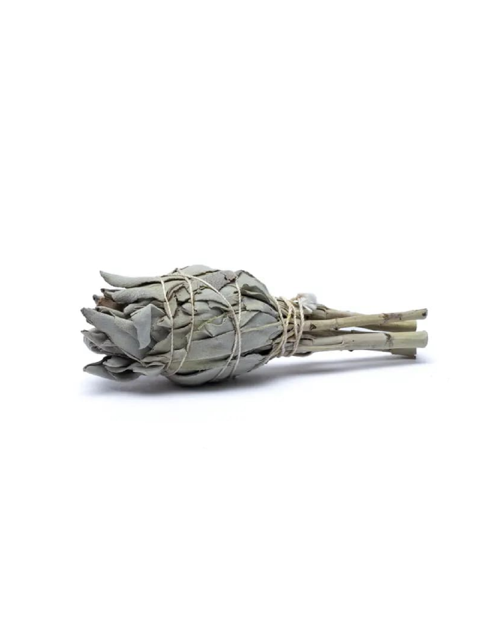 Witte Salie | Smudge Fakkel