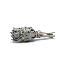 Witte Salie | Smudge Fakkel