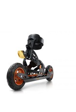 Vasa Kennismakingsles Skiken/Crossskaten (op aanvraag)