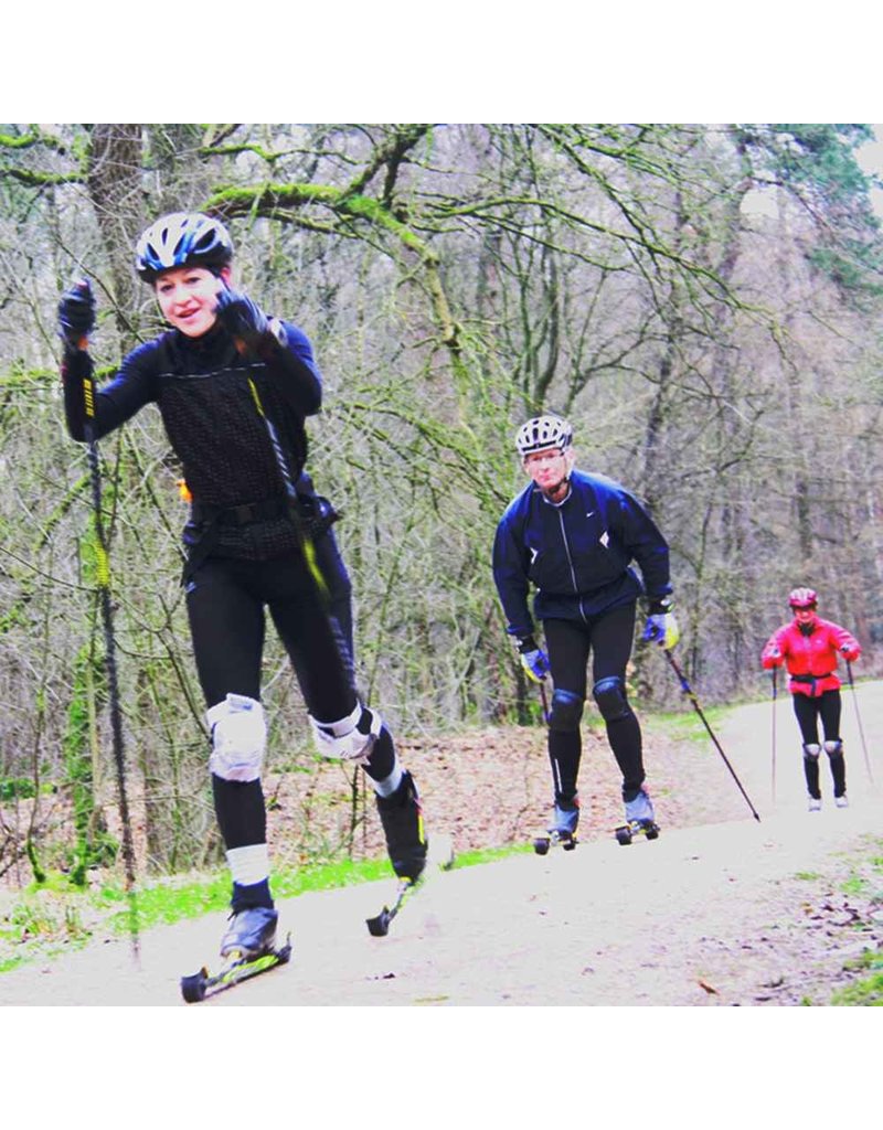 Vasa Kennismakingsles rolski klassiek (datum op aanvraag)