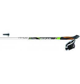 Fizan Nordic stok Performance carbon - green