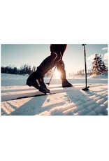 Alpina T10 langlaufschoen