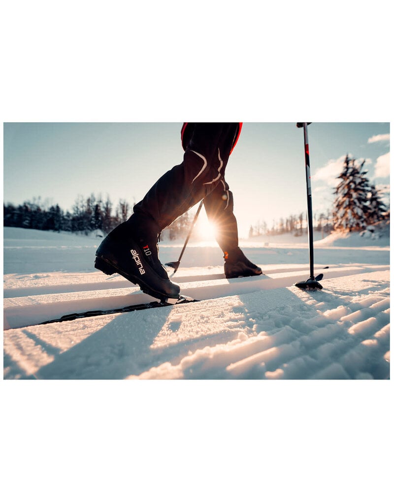 Alpina T10 langlaufschoen
